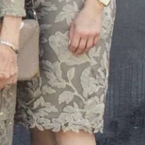 🎉HOST PICK🎉Tadashi Shoji Metallic Embroidered Lace Sheath - Picture 8 of 8